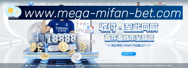 未来规划